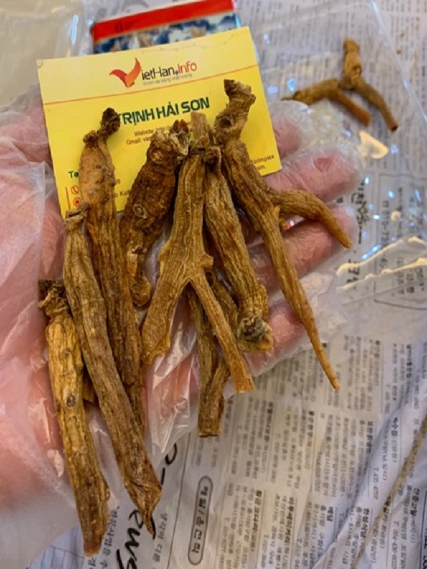 TÁC DỤNG CỦA HỒNG SÂM CỦ KHÔ