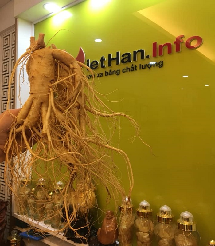 Nhân Sâm 2 củ/1kg