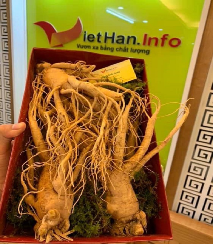 Nhân Sâm 3 củ/1kg