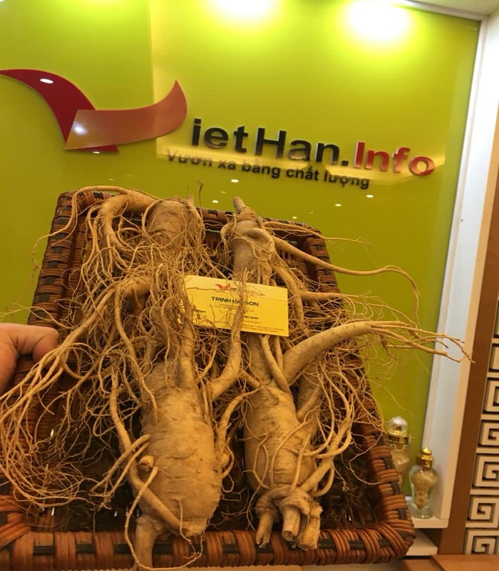 Nhân Sâm 4 củ/1kg