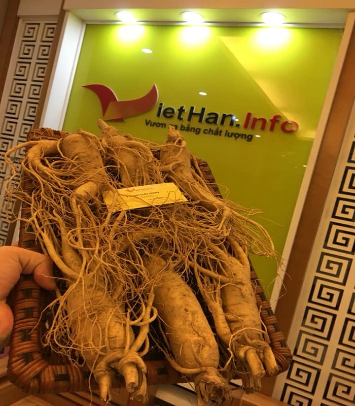 Nhân Sâm 6 củ/1kg