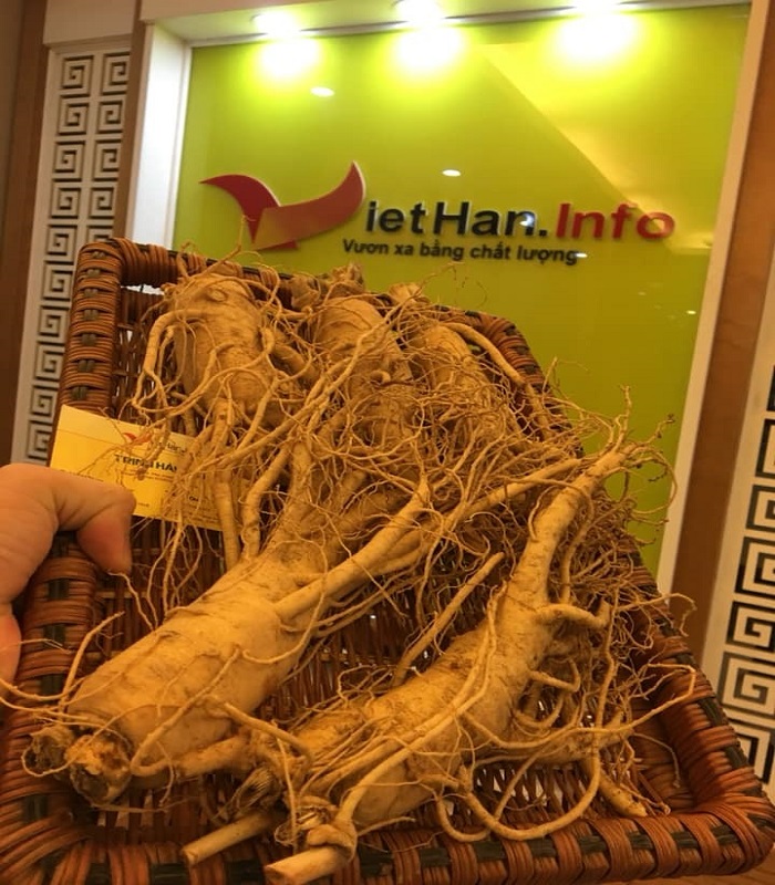 Nhân Sâm 5 củ/1kg