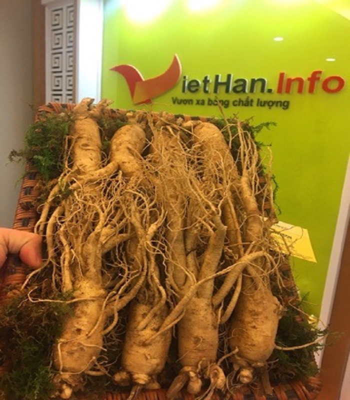 Nhân Sâm 7 -8 củ/1kg