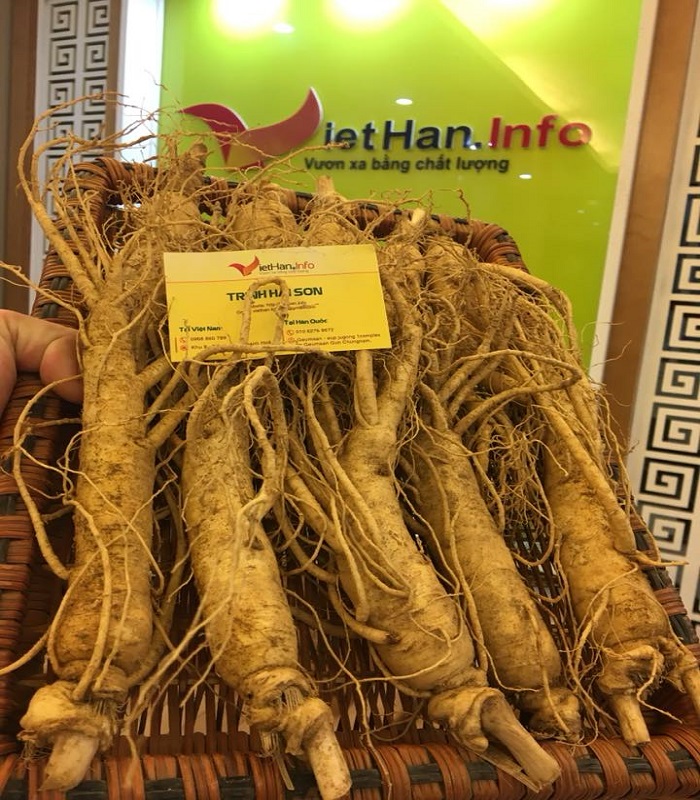 Nhân Sâm 9-10 củ/1kg