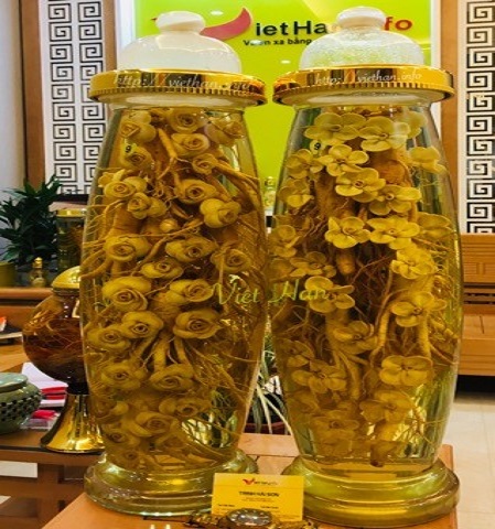 Rượu Sâm Hàn Quốc 16 L