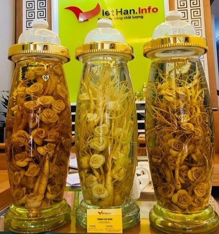 Rượu Sâm Hàn Quốc 13,5 L