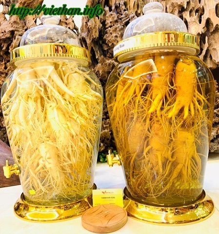 Rượu Sâm Hàn Quốc 22L