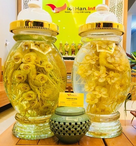 Rượu Sâm Hàn Quốc 13 L  tỉa hoa đào,mai