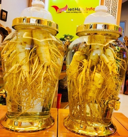 Rượu Sâm Hàn Quốc 16,5L