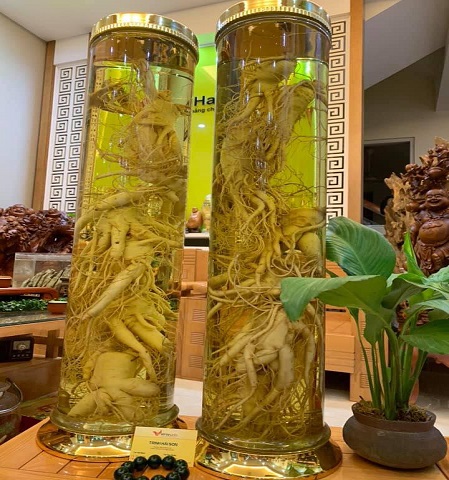 Rượu Sâm Hàn Quốc 28L